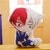 Peluche Shoto Todoroki